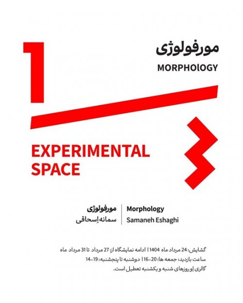 عکس نمایشگاه مورفولوژی