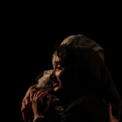 نمایش خرچنگ | عکس