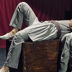 نمایش آداب شکار روباه | عکس