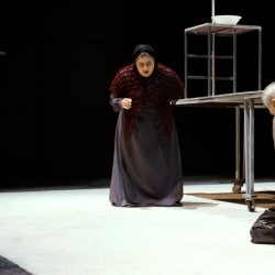 نمایش مستاجر | عکس