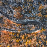  جاده های پاییزی جنگل های هیرکانی | عکس