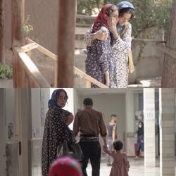 فیلم کوتاه تاسیان | عکس