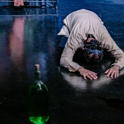 نمایش جای دندان پلنگ | عکس