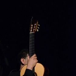 کنسرت موسیقی کریستف رضاعی (صحنه و تصویر) | دیوار | عکس