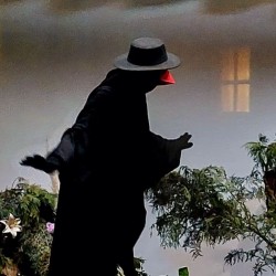 نمایش سوال موموکی | عکس