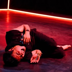 نمایش ماجرای عجیب سگی در شب | عکس