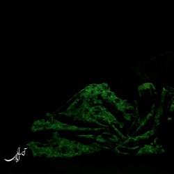 نمایش ملیله آخر | عکس