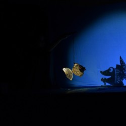 نمایش ماهی سیاه کوچولو | عکس