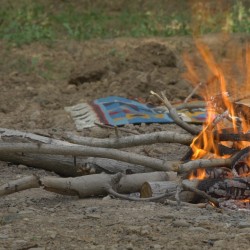 فیلم کوتاه عروس قشقایی | دیوار | عکس