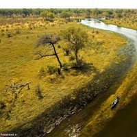 طبیعت کشور بوتسوانا Botswana | عکس