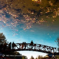 پاییز در باغ گیاه‌شناسی | عکس