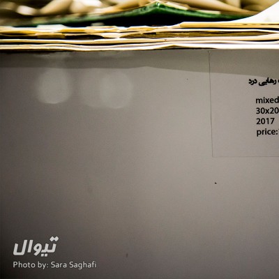 گزارش تصویری نمایشگاه موجودیت/ عکاس: سارا ثقفی | عکس