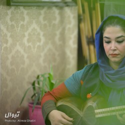 کنسرت گروه راستان (موسیقی سنتی ایرانی  و محلی مازندرانی) | عکس