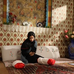 فیلم کوتاه قسر | عکس