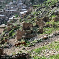 زندگی هه وار نشینی | عکس