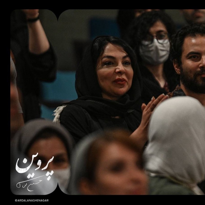 پروین دغدغه، افکار، زندگی یک زن شاعر را به تصویر می‌کشد  | عکس