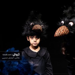 نمایش کلاغ پر | عکس