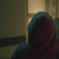 فیلم کوتاه پژواک های دشت عروس دریایی | عکس