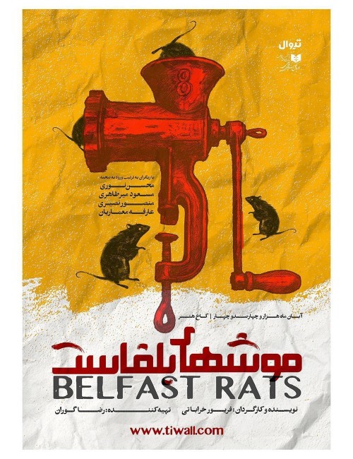 عکس نمایش موش های بلفاست