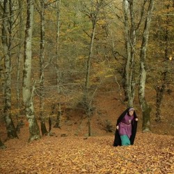 فیلم سنگ راه | عکس