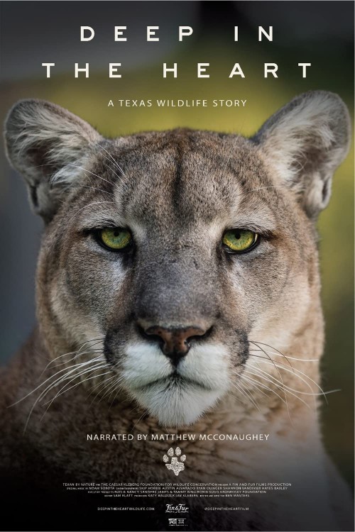 عکس مستند در اعماق قلب: داستان حیات وحش تگزاس