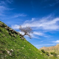 طبیعت بهاری گچساران در کهگیلویه و بویر احمد | عکس