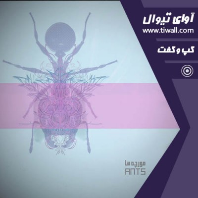 نمایش مورچه‌ها | گفتگوی تیوال با علی علوی | عکس