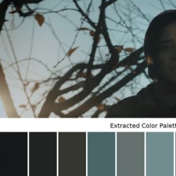 فیلم کوتاه قسر | عکس