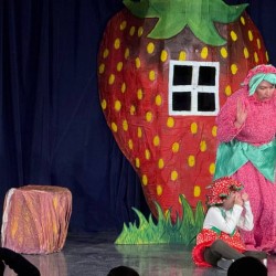 نمایش دهکده توت فرنگی | عکس