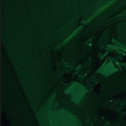 فیلم کوتاه پژواک های دشت عروس دریایی | عکس