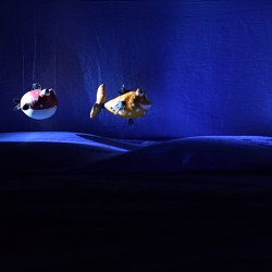 نمایش ماهی سیاه کوچولو | عکس