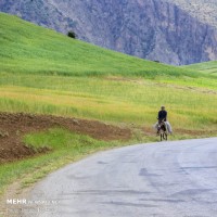  طبیعت زیبای شهرستان اردل | عکس