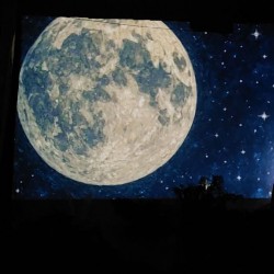 نمایش سوال موموکی | عکس