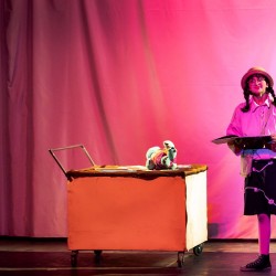 نمایش دونات توت فرنگی | عکس