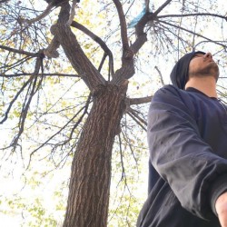 فیلم کوتاه قتل در ساعت هشت | عکس