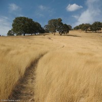 طبیعت روستای زنجیره ایلام | عکس