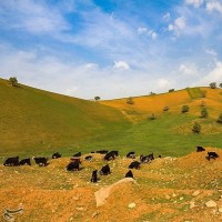 دهدز بهشت پنهان خوزستان | عکس