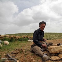 زندگی هه وار نشینی | عکس