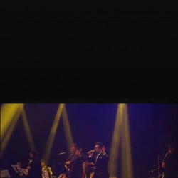 کنسرت شاهین آرین | عکس