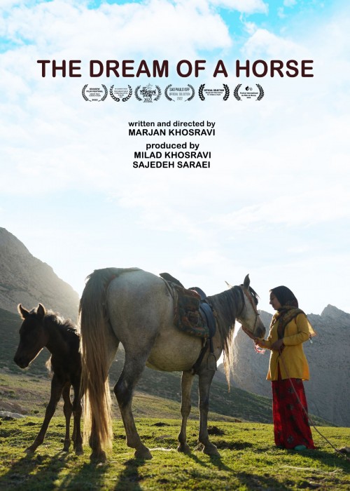عکس مستند رویای یک اسب