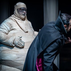 نمایش هتل ترانسیلوانیا شعبه در ایران | کرج | عکس