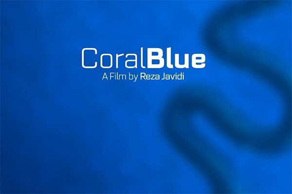 فیلمبرداری فیلم کوتاه «کُرال بلو» به نویسندگی و کارگردانی رضا جاویدی به پایان رسید. | عکس