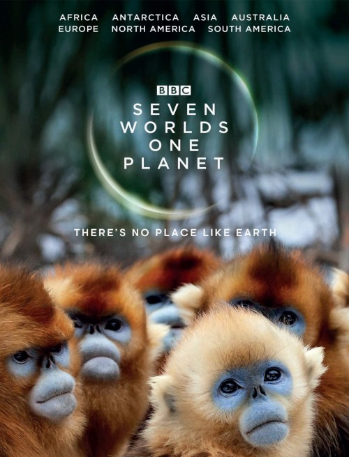 عکس فیلم هفت جهان در یک زمین