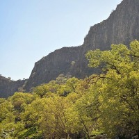 طبیعت بهاری گچساران در کهگیلویه و بویر احمد | عکس