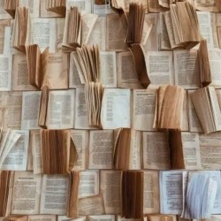 عکس محمدرضا قربانی