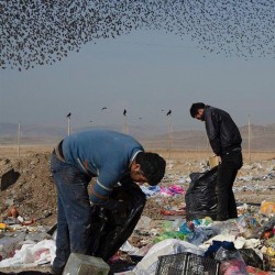 نمایشگاه استعداد ای.جی ۷ | عکس