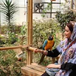 گردش تهران‌گردی به زبان انگلیسی |باغ پرندگان| | عکس