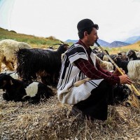 دهدز بهشت پنهان خوزستان | عکس