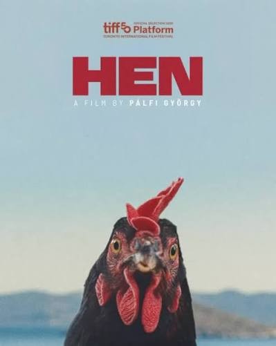 عکس فیلم مرغ