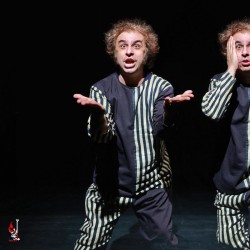 نمایش کارمای شقایق دیواری | عکس